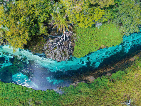 Pantanal Setembro 2022 - 