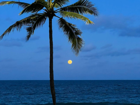 Porto de Galinhas