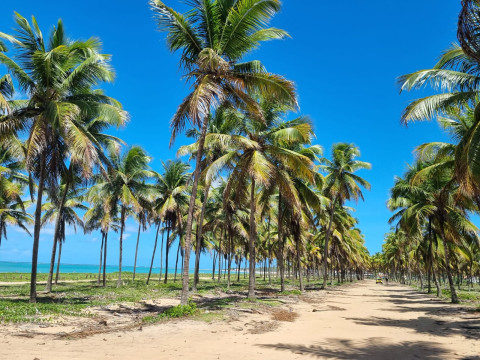 Porto De Galinhas Abril 2023