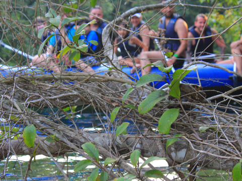 Pantanal Setembro 2022 - 