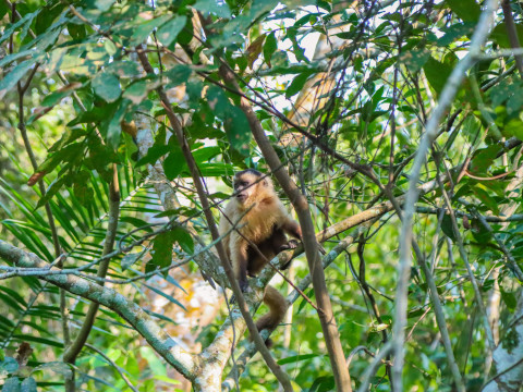 Pantanal Setembro 2022 - 