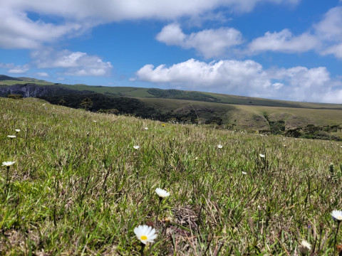 São José dos Ausentes 2022 - 