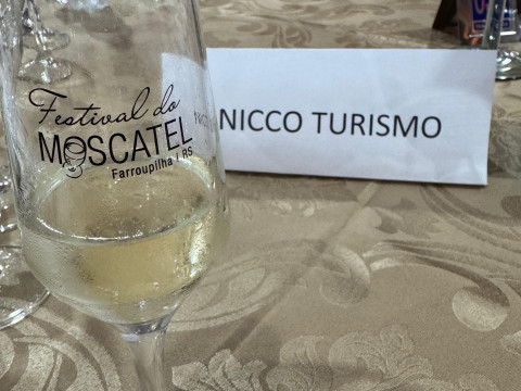 Festival Moscatel 2026 grupo II - 