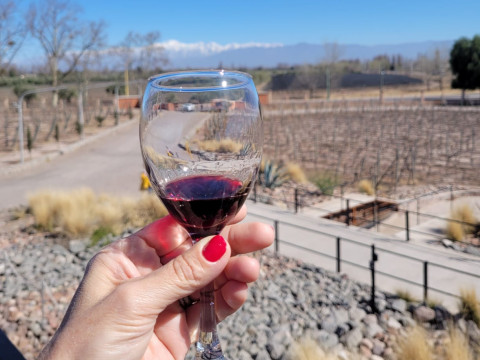 Argentina & Chile - Cordilheira dos Andes - 