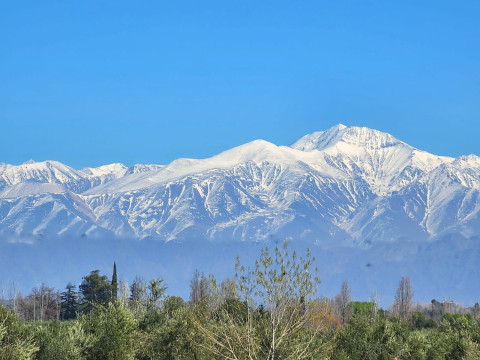 Argentina & Chile - Cordilheira dos Andes - 