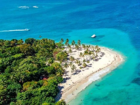 Carnaval no Caribe - 