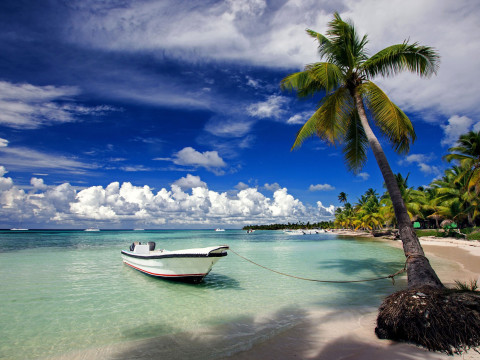 Carnaval no Caribe - 