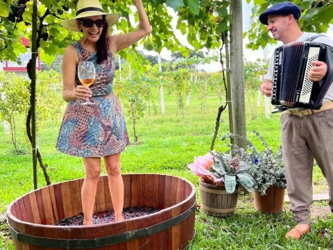 Rota dos Vinhos em Santa Catarina - 