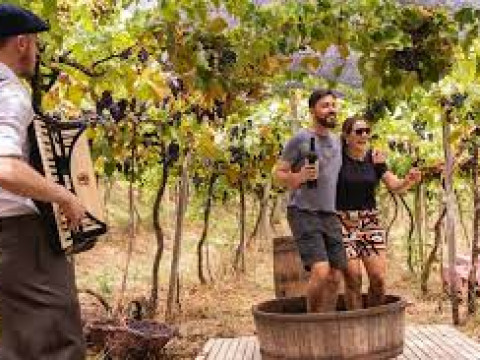 Rota dos Vinhos em Santa Catarina