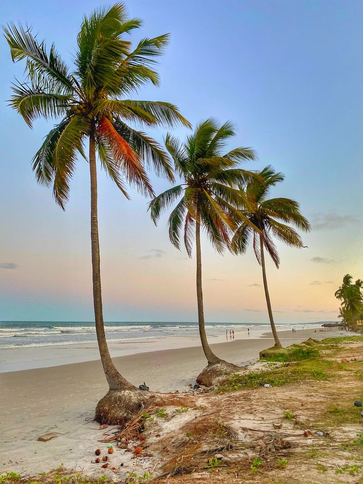 Nordeste incrível - 